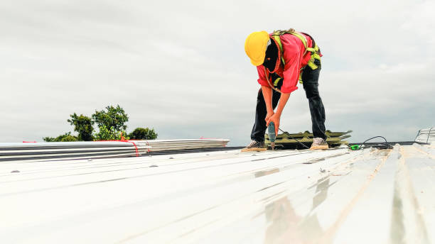 Best Rubber Roofing (EPDM, TPO)  in Roanoke, AL
