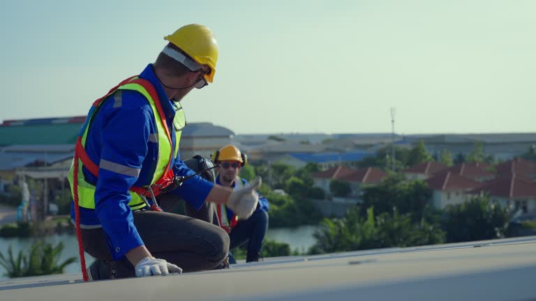 Best Roof Waterproofing  in Roanoke, AL