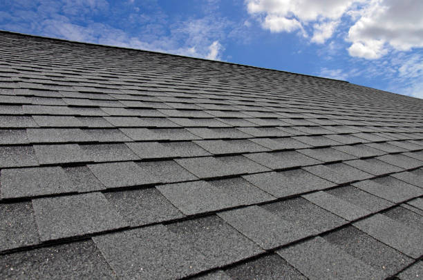 Best Roofing for New Construction  in Roanoke, AL